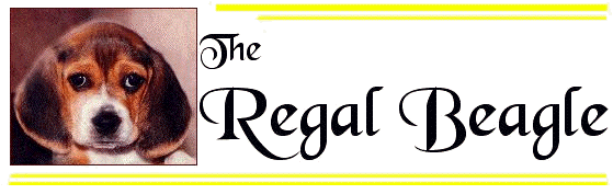 does the regal beagle really exist? 2